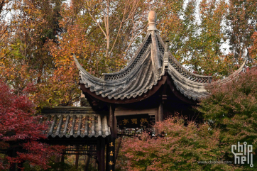 一百余张照片 记录南京的秋天