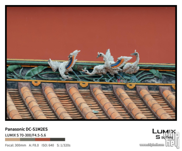 松下Lumix S1M2E使用体验：进阶摄影+电影入门的神器
