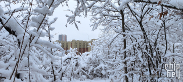 小山·小雪