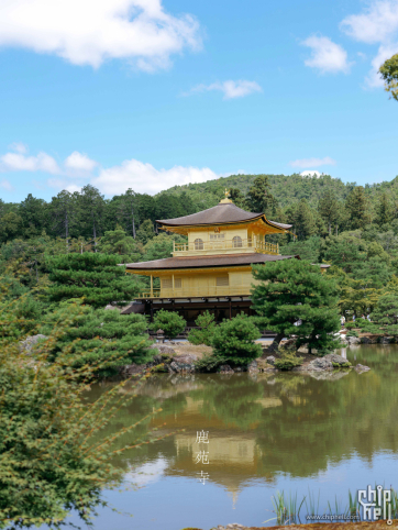 2024 京の夏の旅📷 （四）