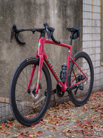 颜色越粉,骑的越猛:Specialized Tarmac SL8