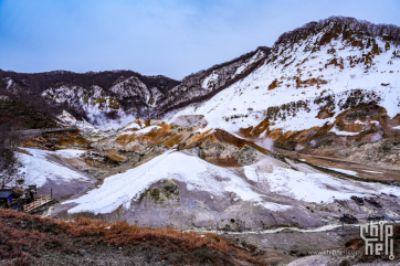 2025新春  北海道6日游 by sony a7c2 20 70 F4