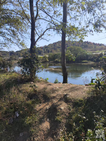 风和日立的冬季暖阳洒在小河边边上