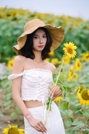 拍摄向日葵花海中的少女