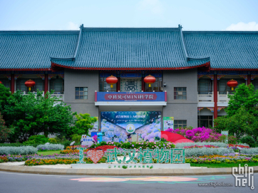 武汉2025春季公园美景