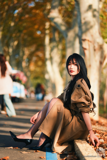 「人像练习」秋日/PM3:00-PM5:00/梧桐变美了