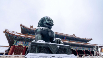 雪中的紫禁城
