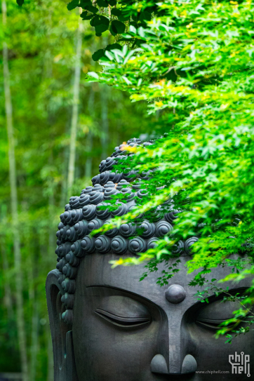 周未杭州一日游---大头佛与凌空金鱼缸