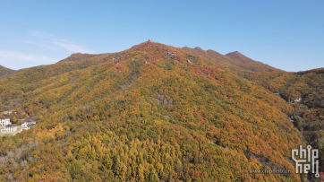 吉林·秋·五花山