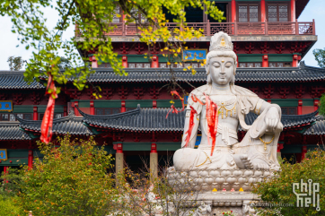 【南京】 毗卢寺随拍