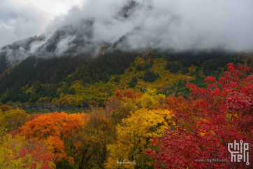 最近大热门的川西之旅...