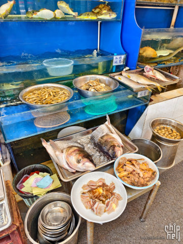 来（in 江苏）江阴看海啊