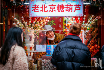 【家住汉江边】走在襄阳城里，与春天撞个满怀