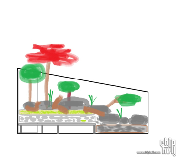 《清泉石上流》——皖南龟缸造景