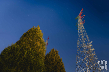 🦢 公园干腻了，就跳槽去铁锅炖吧 🦢