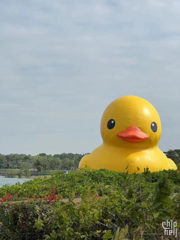 大黄鸭（Rubber Duck）