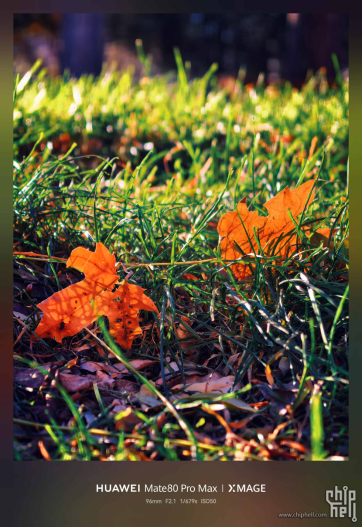 新手机摄影再来一波——附赠无水印壁纸