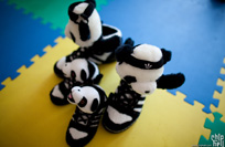 Adidas阿迪达斯三叶草小熊猫baby和其他