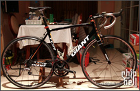 2011 GIANT TCR-FF