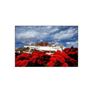 不一样的Tibet，我眼中的Tibet