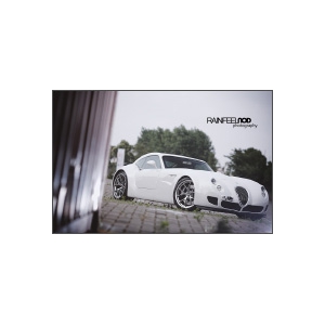 渴望基情WIESMANN GT MF5