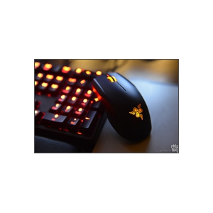 只为那一抹金黄色的记忆——Razer Krait 2013版 开箱