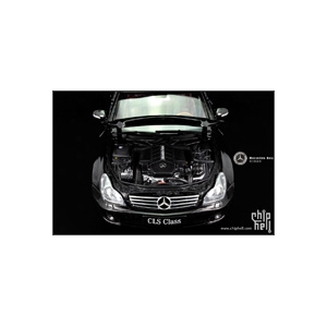 【魔鬼】集动感和优雅于一身的BENZ CLS500