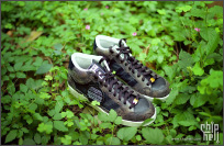 2003s  BAPE x ADIDAS  Snake SuperSkate  Sneaker