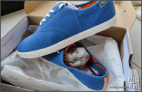 【CHH首发】2014年新款LACOSTE 休闲帆布鞋（天蓝色）