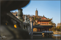 你好，焦山！