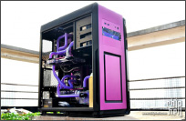 Dature Stramonium Datura L.紫色曼陀罗双系统主题水冷MOD