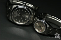 两只日常戴的表,Rolex 116000 & 176200