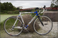 经典梅花，COLNAGO DREAM LUX MAPEI