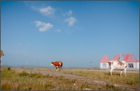 两轮上的自由——驰骋草原，穿越大兴安岭