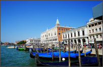 在意大利的七日-Venice、Florence、Roma三城记