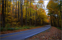 秋のメロディー——Great Smoky Mountains National Park