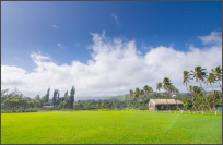MAUI之美