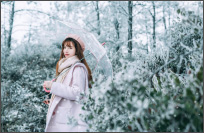 白い雪