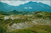 《诗画》丽水行