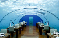 [CHH美食节2] Ithaa Undersea Restaurant