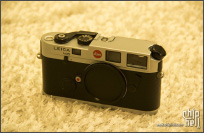 Leica熊猫M6伪开箱+R4友情客串
