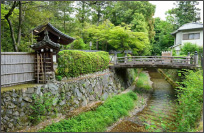 【京都】苔童话之西芳寺（苔寺）