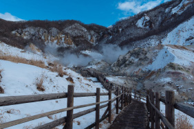 初涉霓虹，东京北海道8日游