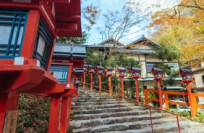 发现京都之美——孤独的美食红叶狩