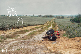 与女王同行，bikefriday prp，海南岛东线单程游记（单车）