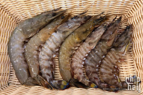 《上海视角》实用海鲜消费科普—虾类篇