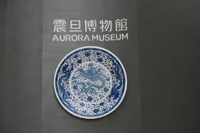 #MuseumTour#意外的惊喜——上海震旦博物馆
