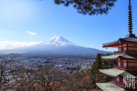 东京-富士-箱根 银杏枫叶之旅