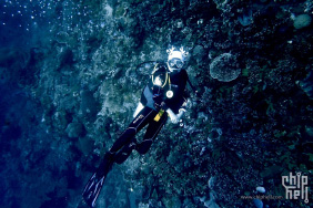 菲律宾杜马盖地潜水
