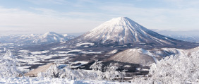 冬季，去北海道看雪